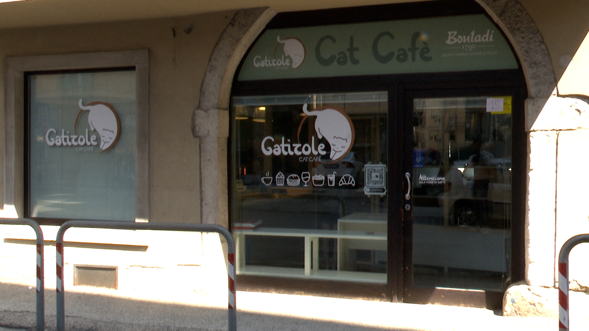 Il Gatizole Cat Cafè fa subito il pieno: 200 clienti al giorno - News  Trentino TV